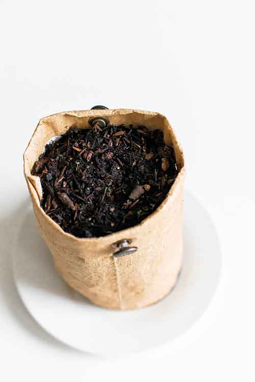 Yard Waste: Trash or Gardener’s Treasure