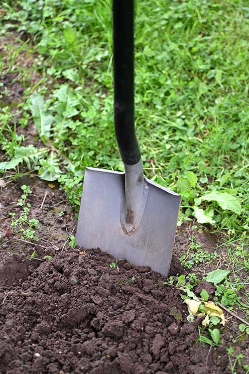 Junk removing shovel in soil